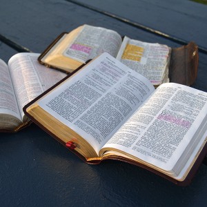 bible-study-1312533-square