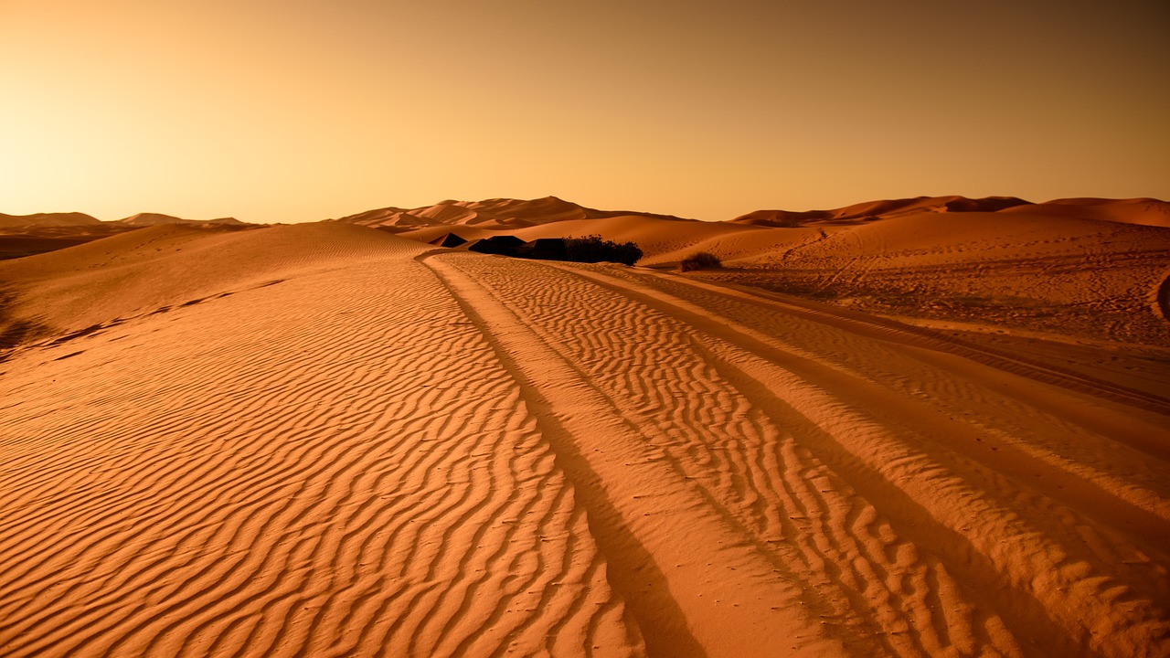 dunes du sahara